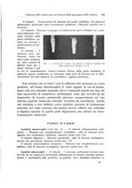 giornale/PUV0110166/1923/V.8/00000477