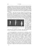 giornale/PUV0110166/1923/V.8/00000478