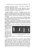 giornale/PUV0110166/1923/V.8/00000481