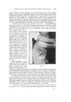 giornale/PUV0110166/1923/V.8/00000507