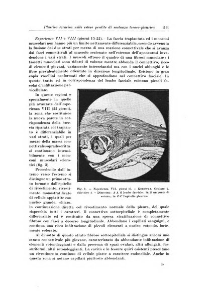 Archivio italiano di chirurgia