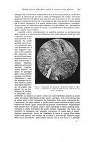 giornale/PUV0110166/1923/V.8/00000535