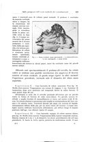 giornale/PUV0110166/1923/V.8/00000635