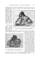 giornale/PUV0110166/1923/V.8/00000637