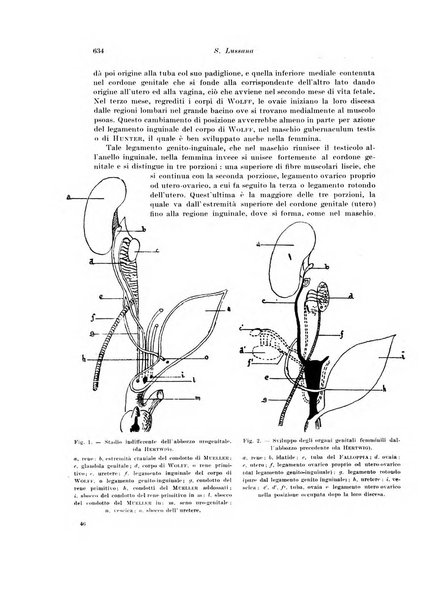 Archivio italiano di chirurgia