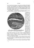 giornale/PUV0110166/1924/V.10/00000164
