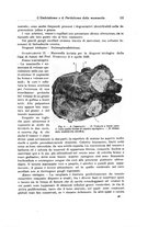 giornale/PUV0110166/1924/V.10/00000165