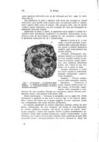 giornale/PUV0110166/1924/V.10/00000168