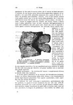 giornale/PUV0110166/1924/V.10/00000172