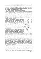 giornale/PUV0110166/1924/V.10/00000227