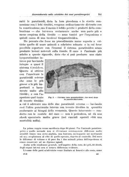 Archivio italiano di chirurgia