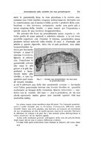giornale/PUV0110166/1924/V.10/00000255