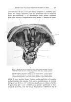 giornale/PUV0110166/1924/V.10/00000275