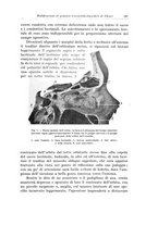 giornale/PUV0110166/1924/V.10/00000279