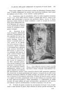 giornale/PUV0110166/1924/V.10/00000303