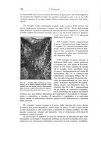 giornale/PUV0110166/1924/V.10/00000342