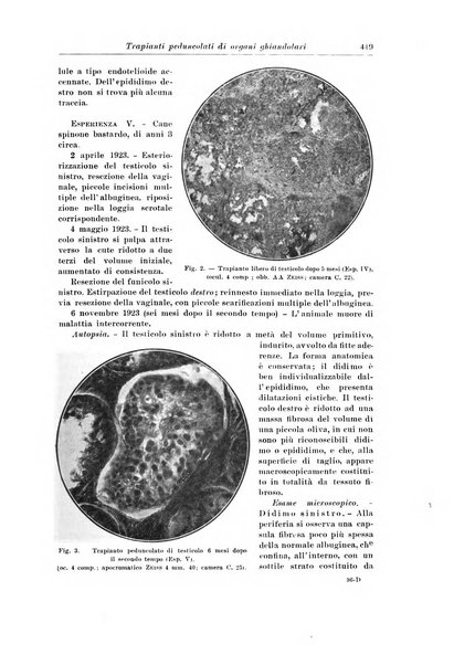 Archivio italiano di chirurgia