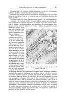 giornale/PUV0110166/1924/V.10/00000473