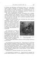 giornale/PUV0110166/1924/V.10/00000521