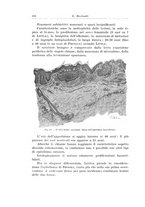 giornale/PUV0110166/1924/V.10/00000538