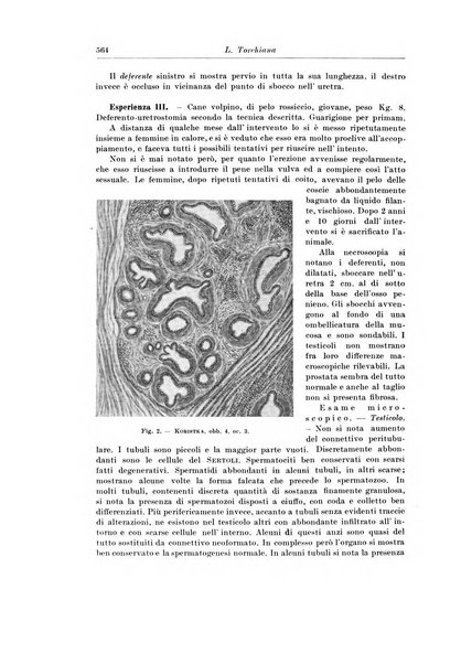 Archivio italiano di chirurgia