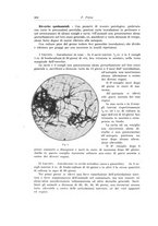 giornale/PUV0110166/1924/V.10/00000628