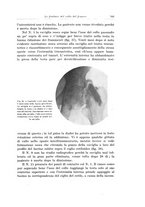 giornale/PUV0110166/1924/V.10/00000809