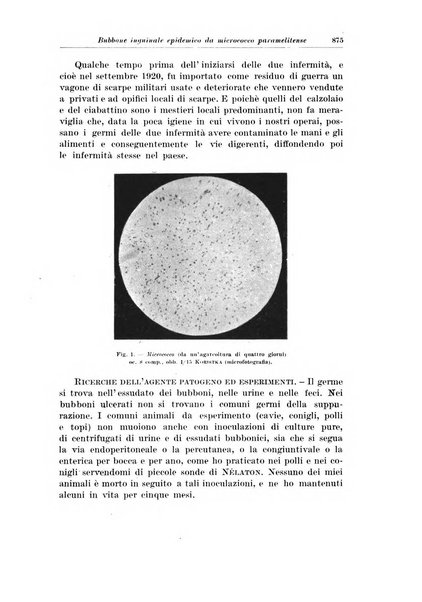 Archivio italiano di chirurgia