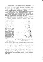 giornale/PUV0110166/1924/V.9/00000035