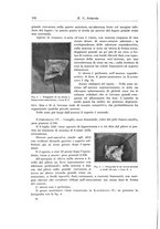 giornale/PUV0110166/1924/V.9/00000146