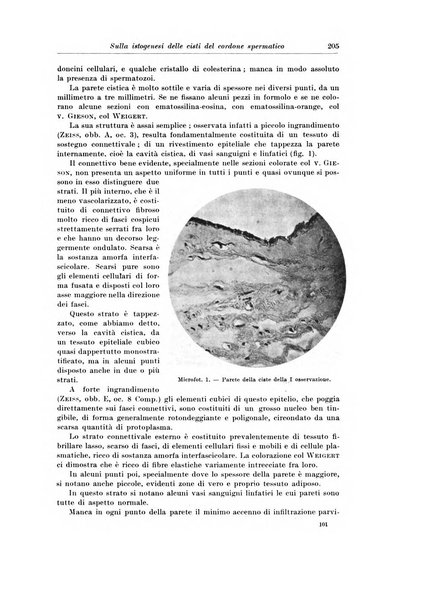 Archivio italiano di chirurgia