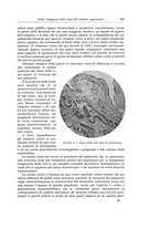 giornale/PUV0110166/1924/V.9/00000221