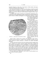 giornale/PUV0110166/1924/V.9/00000224