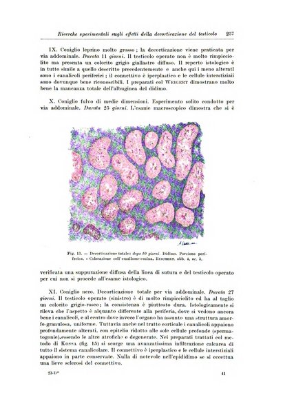 Archivio italiano di chirurgia