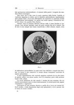 giornale/PUV0110166/1924/V.9/00000316