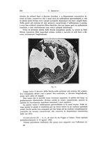 giornale/PUV0110166/1924/V.9/00000336