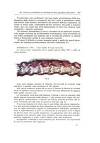 giornale/PUV0110166/1924/V.9/00000379