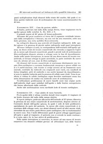 Archivio italiano di chirurgia