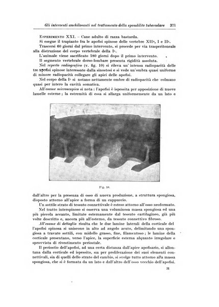 Archivio italiano di chirurgia