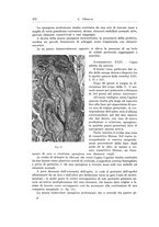 giornale/PUV0110166/1924/V.9/00000394