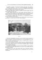 giornale/PUV0110166/1924/V.9/00000397