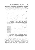 giornale/PUV0110166/1924/V.9/00000459