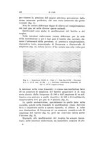 giornale/PUV0110166/1924/V.9/00000460