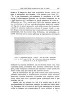 giornale/PUV0110166/1924/V.9/00000461