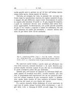 giornale/PUV0110166/1924/V.9/00000462