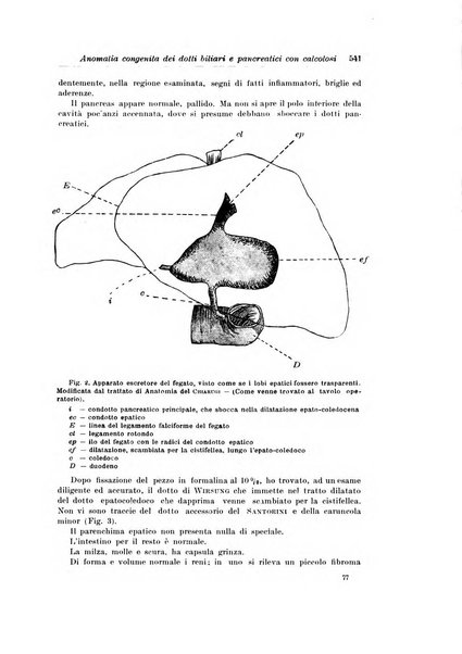 Archivio italiano di chirurgia