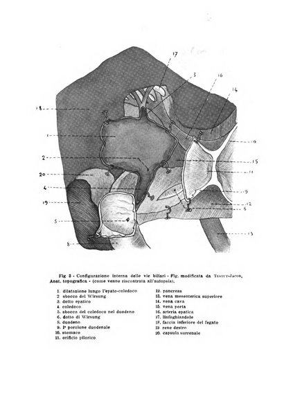 Archivio italiano di chirurgia