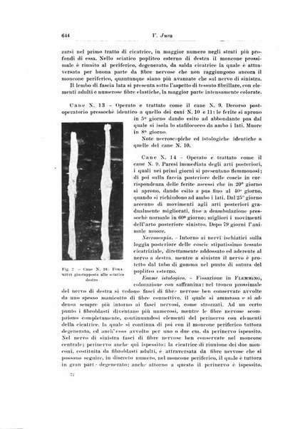 Archivio italiano di chirurgia