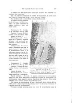 giornale/PUV0110166/1925/V.11/00000133