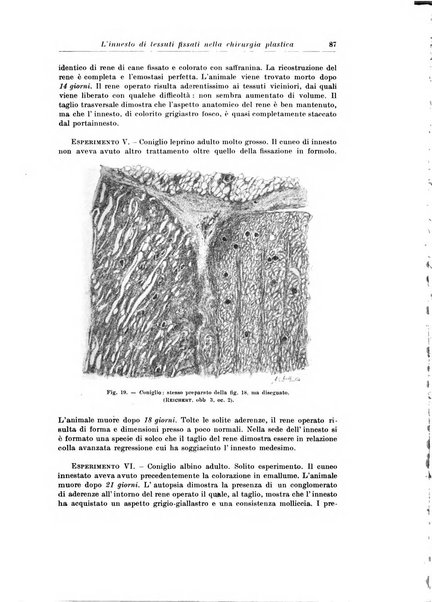 Archivio italiano di chirurgia